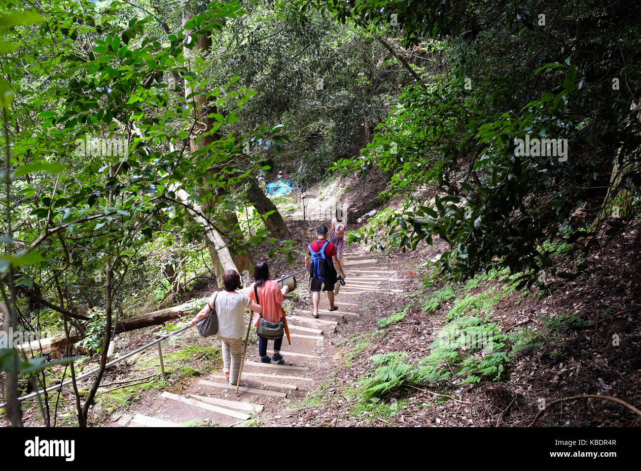 Der Weg zwischen Kibune und Kurama nördlich der Stadt Kyoto in Japan. Stockfoto