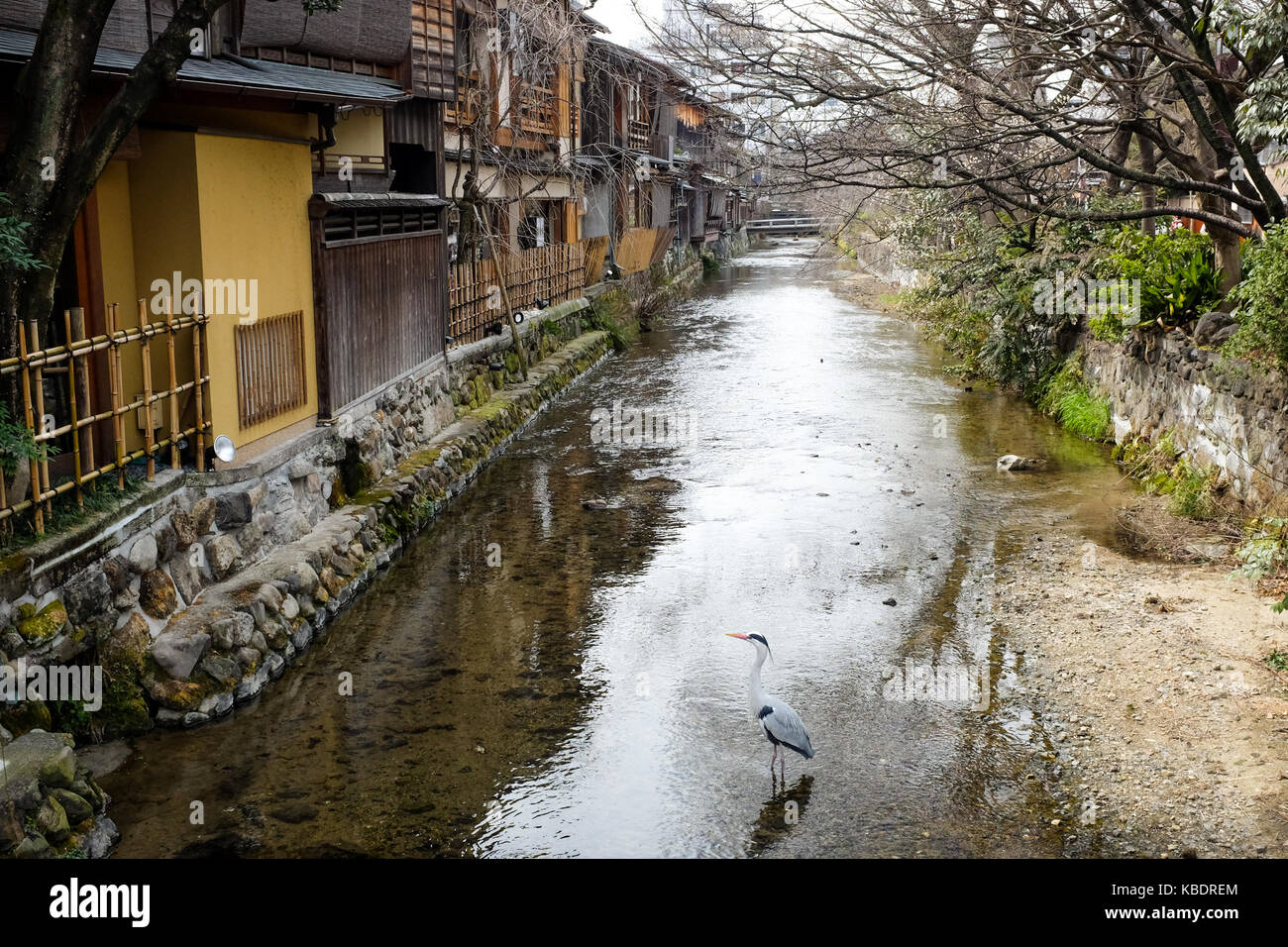 Ein Strom durch einen historischen Teil von Kyoto, Japan. Stockfoto