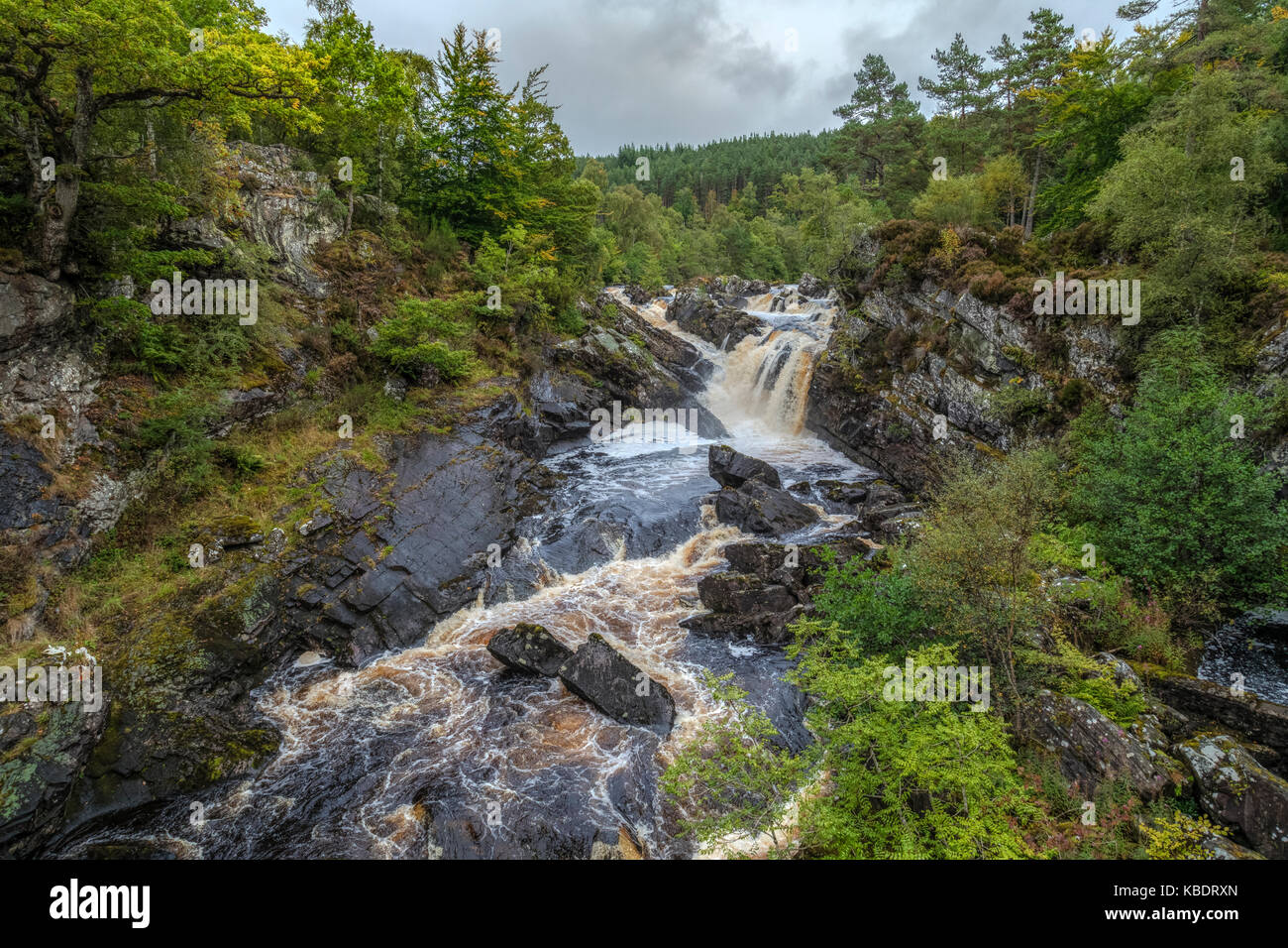 Rogie Falls, Blackwater, Highlands, Schottland, Vereinigtes Königreich Stockfoto