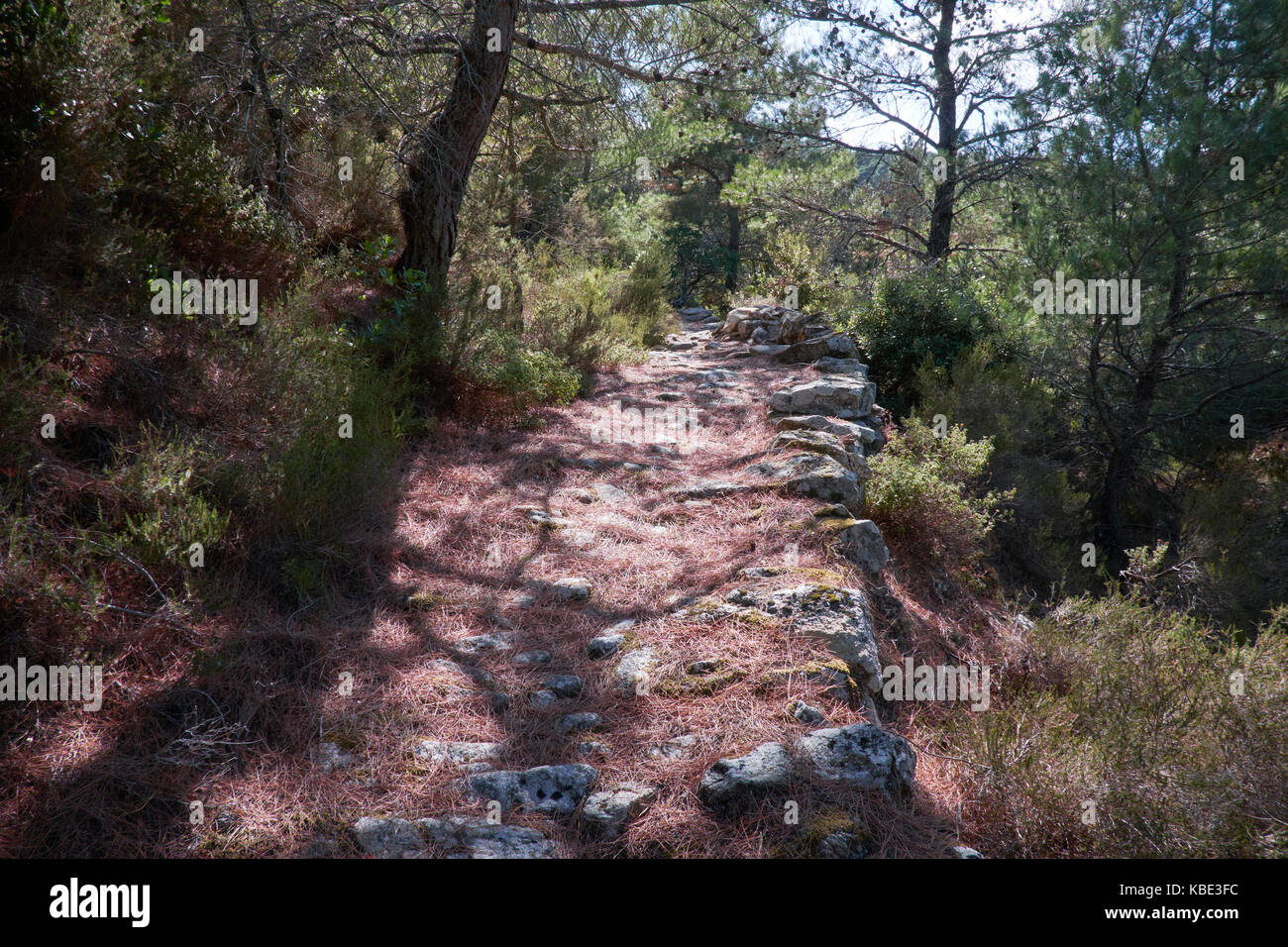 Weg durch den Wald in der Nähe von Frandato, Ikaria, Griechenland Stockfoto