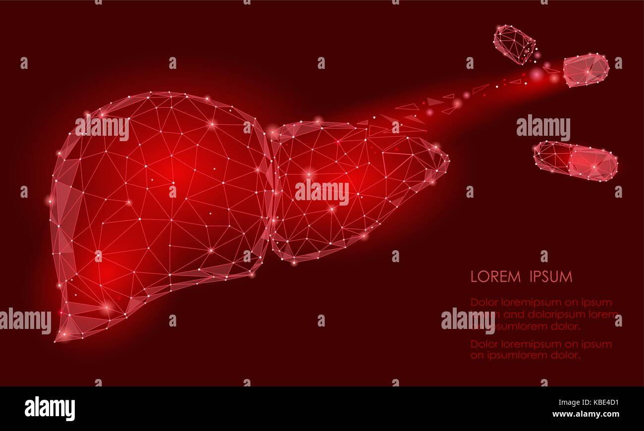 Behandlung Regeneration decay Droge. Menschliche Leber internen Organ Dreieck Low Poly. Verbunden Punkte weiß Grau Farbe Technologie 3D-Modell der Medizin gesund Stock Vektor