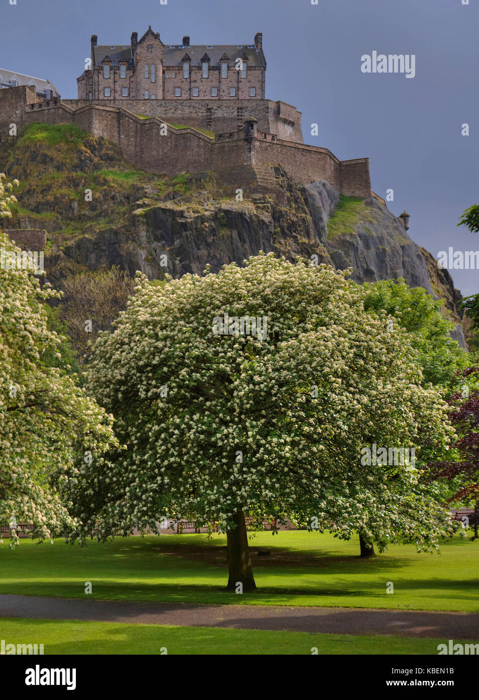 Das Edinburgh Castle von der Princess Street Gardens. Schottland Stockfoto