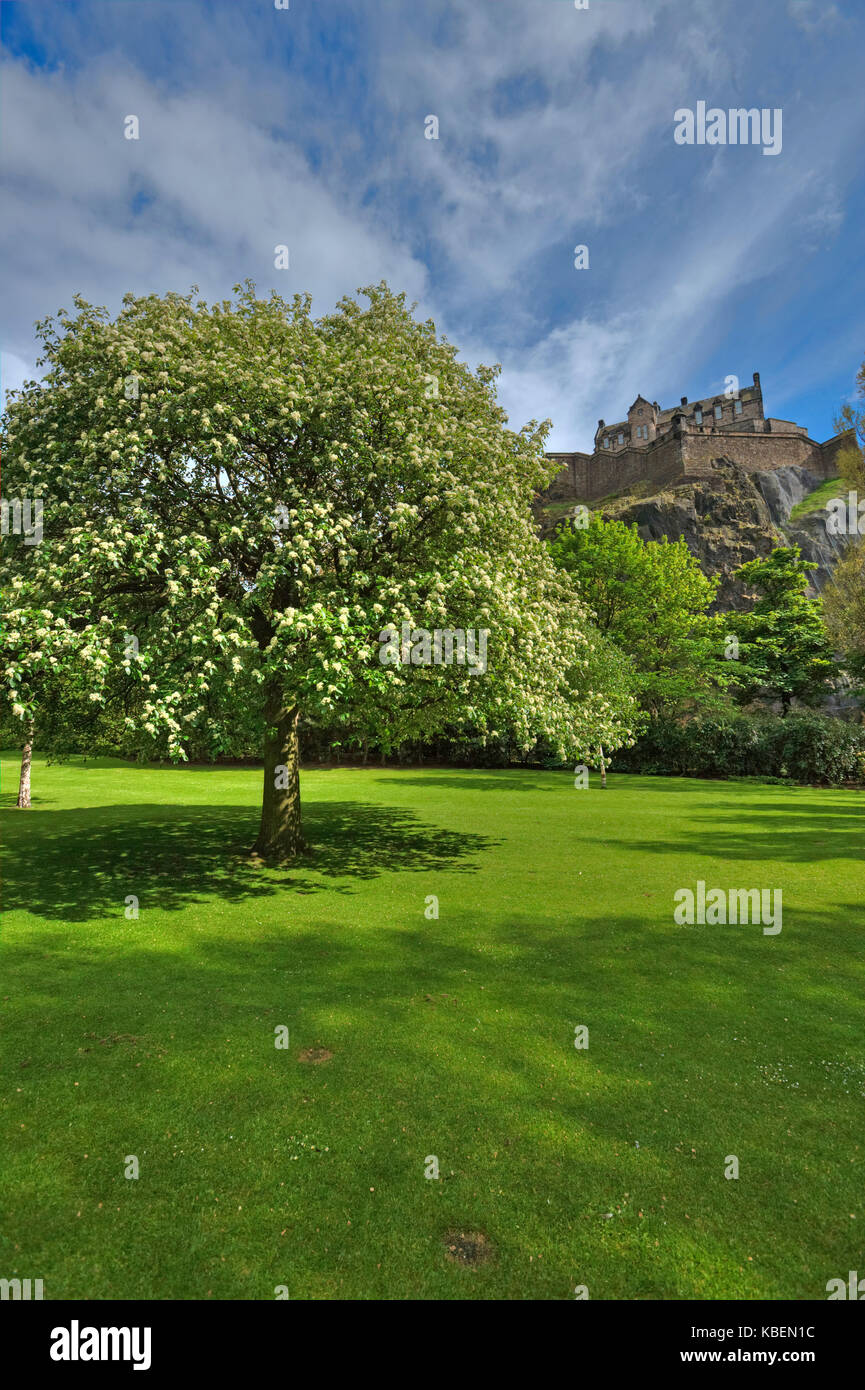 Das Edinburgh Castle aus der Princes Street Gardens, Edinburgh, Lothian, Schottland Stockfoto