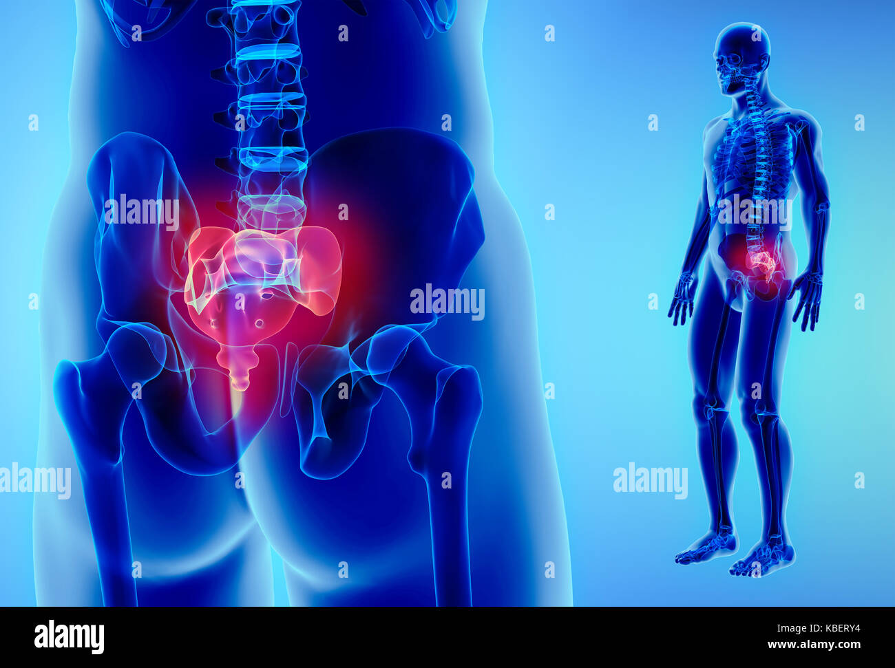 3D-Darstellung der sakralen Wirbelsäule - Teil des menschlichen Skeletts. Stockfoto