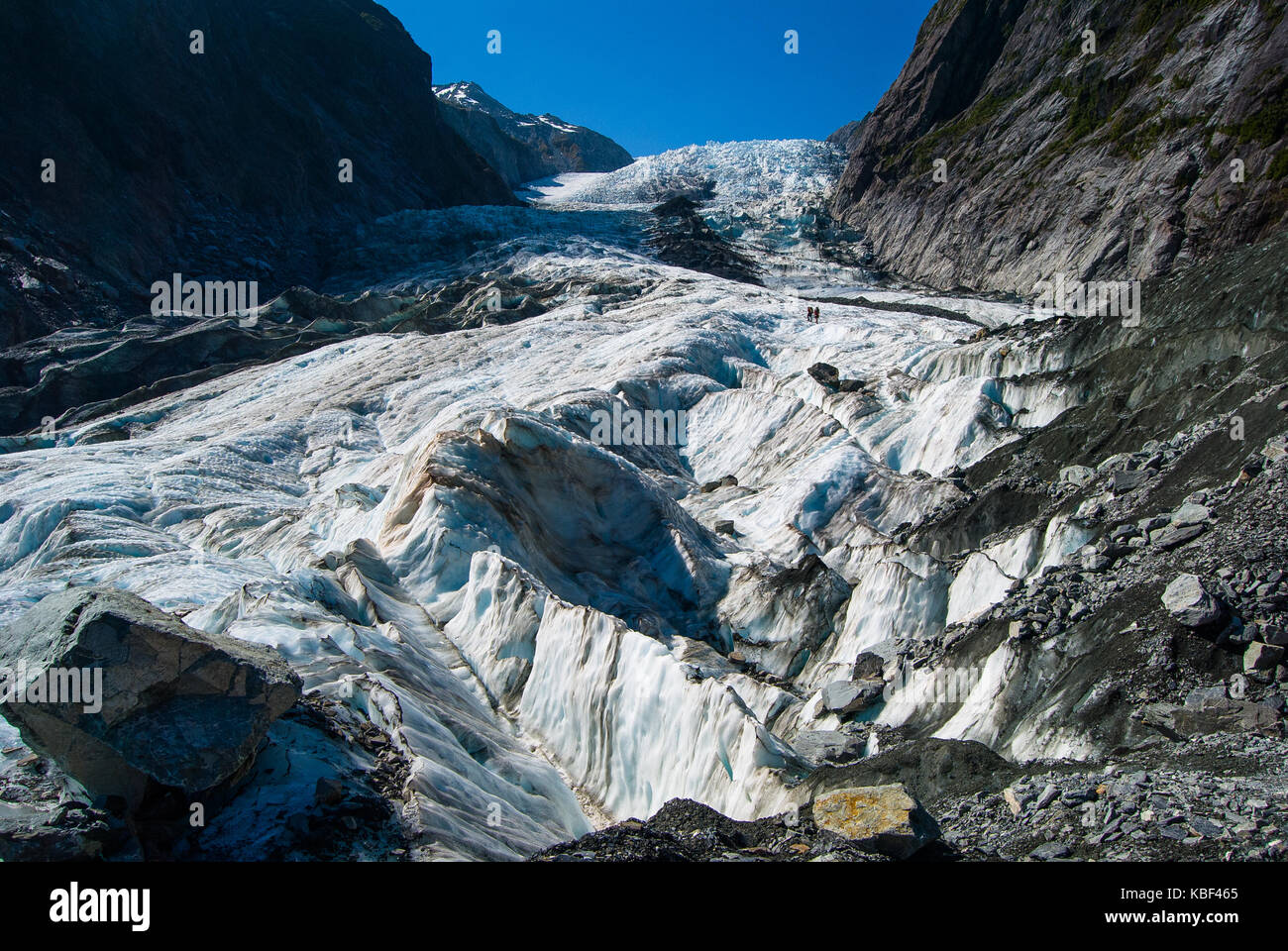 Franz Josef Gletscher, Neuseeland Stockfoto