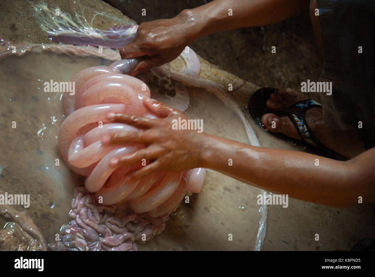 Man aufpumpen Schweine Därme, Angeles, Central Luzon, Philippinen. Stockfoto