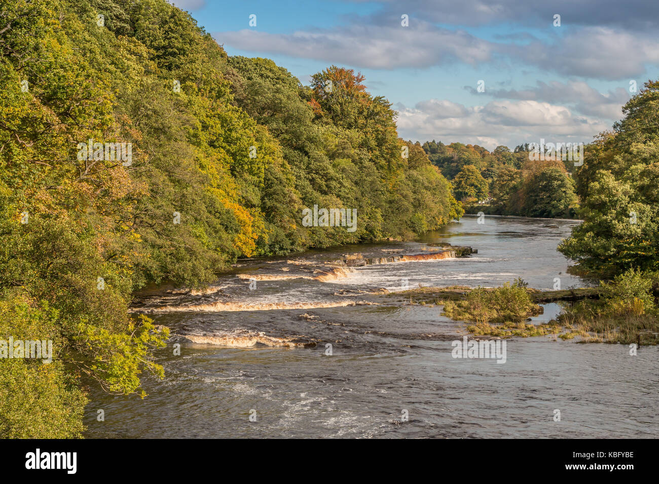 Teesdale Landschaft, Stromschnellen und Wasserfälle auf dem Fluss Tees in Whorlton, Teesdale, UK an einem sonnigen Herbstnachmittag September 2017 Stockfoto
