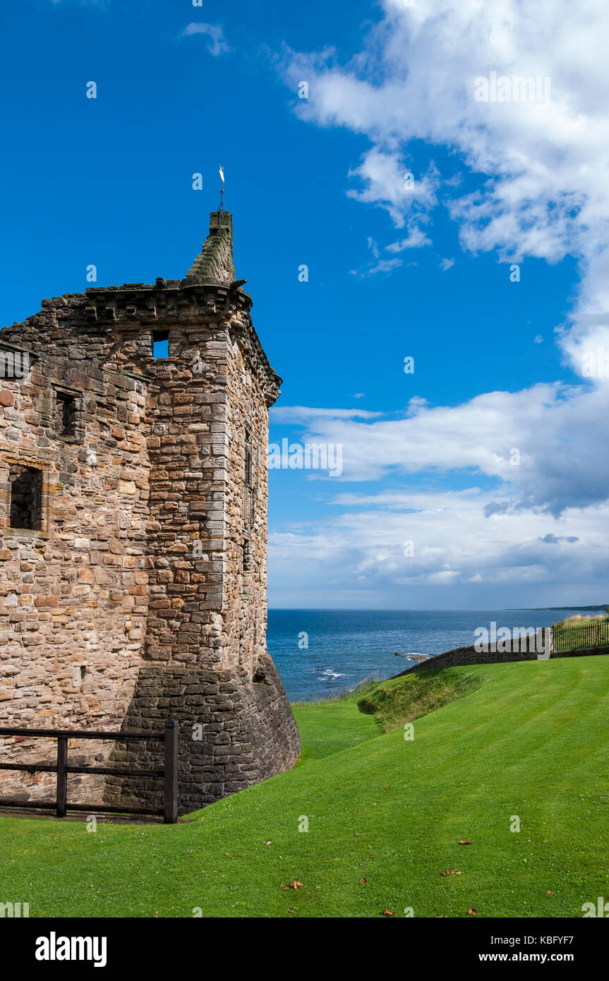 Detail der St. Andrews Castle in der Royal Burgh von St Andrews, Fife, Schottland Stockfoto