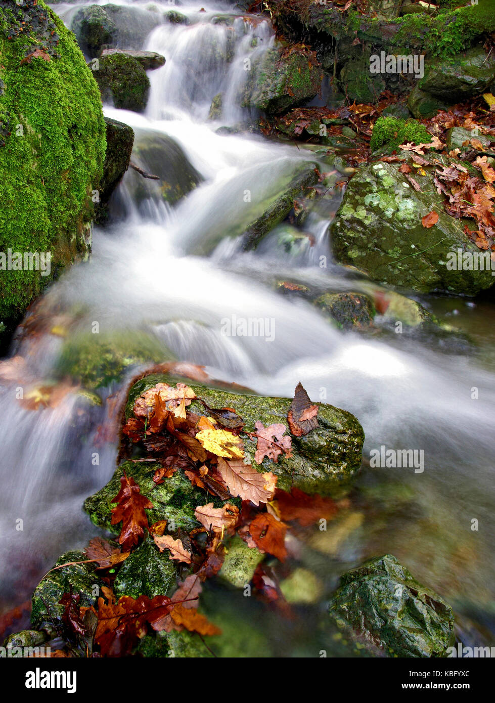 Ein bunter Blick auf eine kleine, schnell fließenden Fluss im Herbst im Lake District, England, Großbritannien Stockfoto