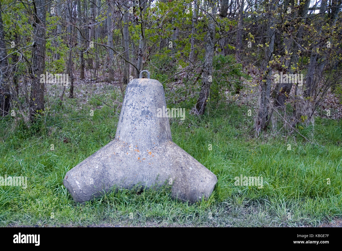 Tetrapod im Gras in der Nähe von Forest liegen Stockfoto