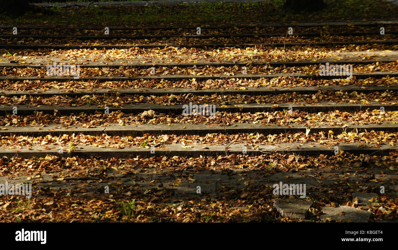 Herbst Baum mit wechselnden Blätter, auf Treppen Stockfoto