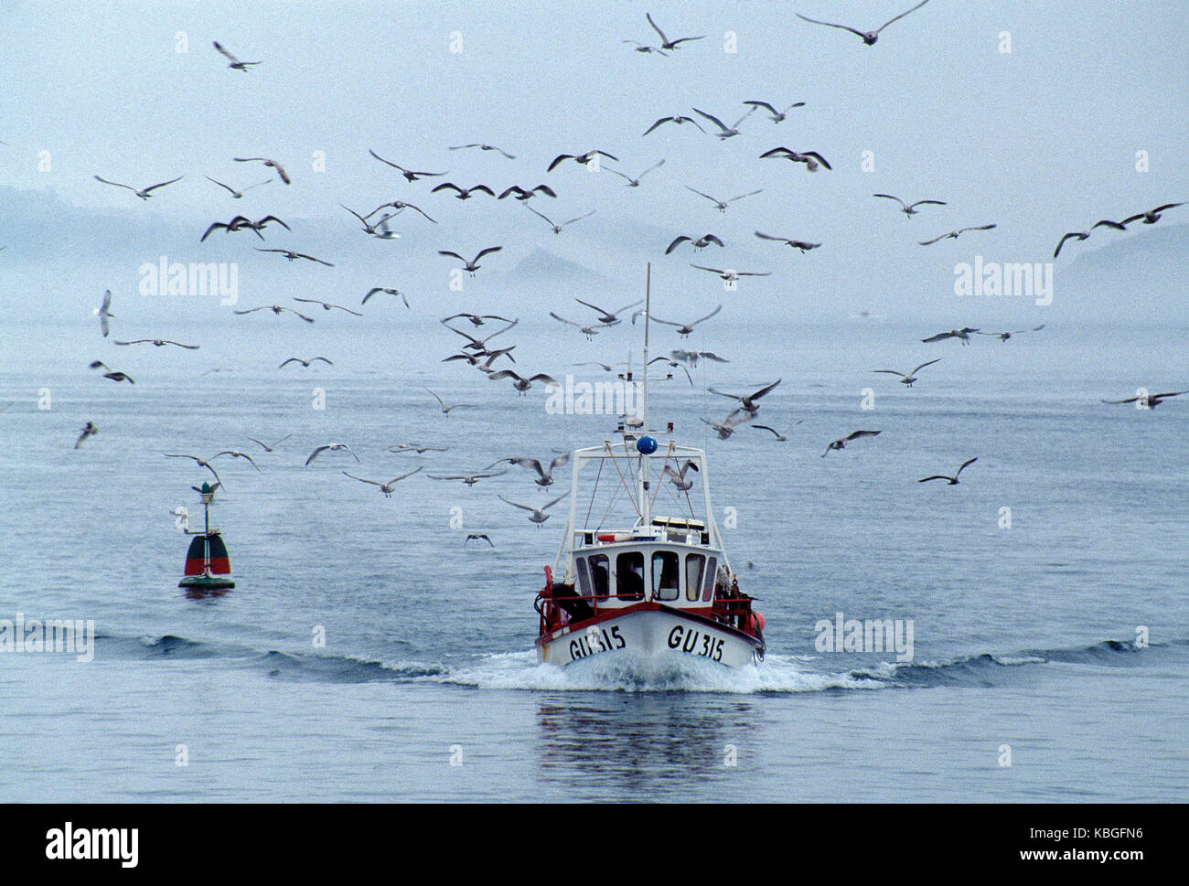 Kanal Inseln. Guernsey. Fischerboot Rückkehr zum Hafen. Stockfoto