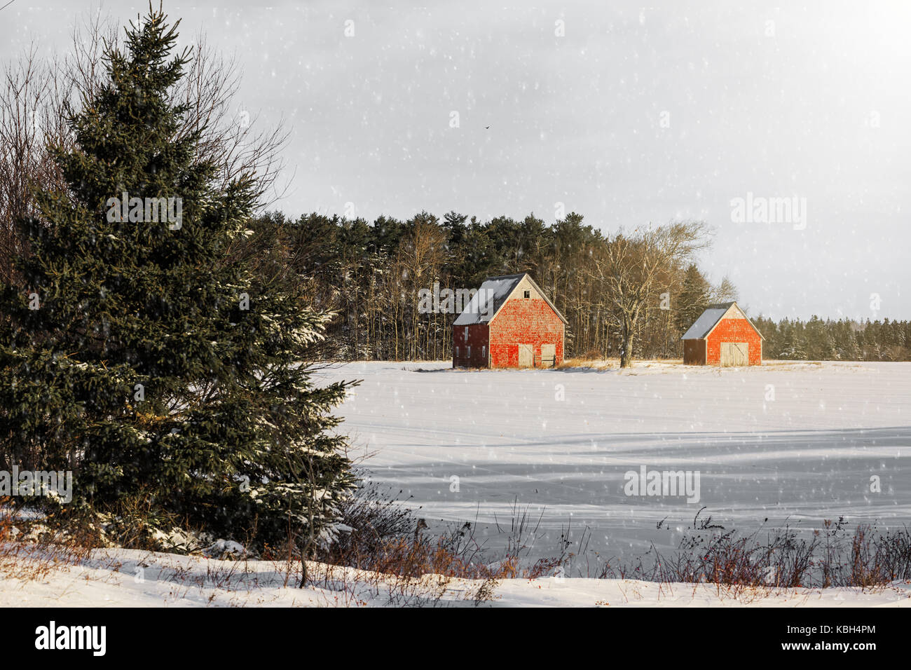Winterlandschaft in ländlichen Nordamerika. Stockfoto
