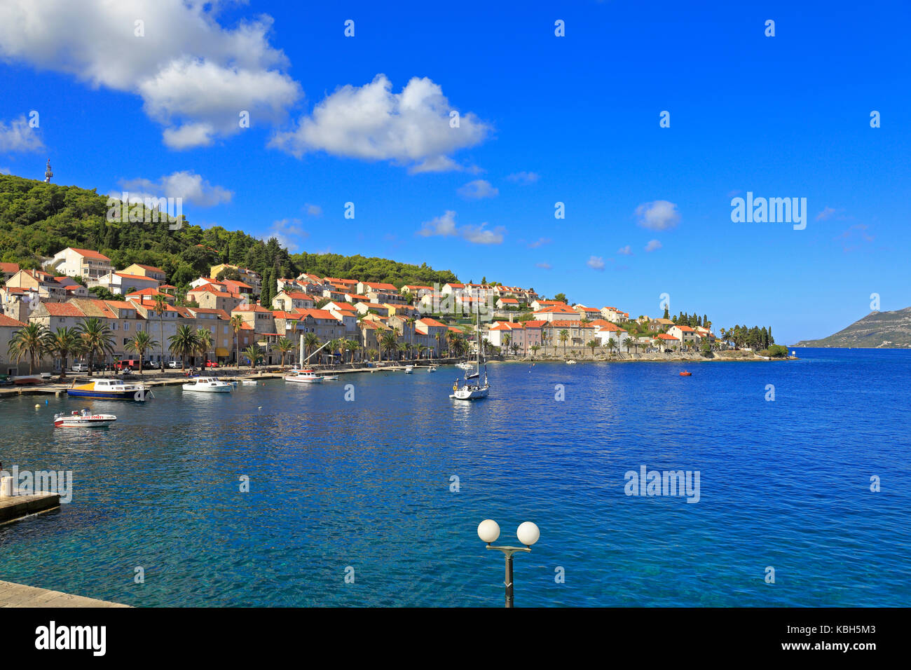 Sveti Nikola eine Palmenpromenade gesäumt, die Stadt Korcula, Insel Korcula, Kroatien, Dalmatien, Dalmatinischen Küste, Europa. Stockfoto