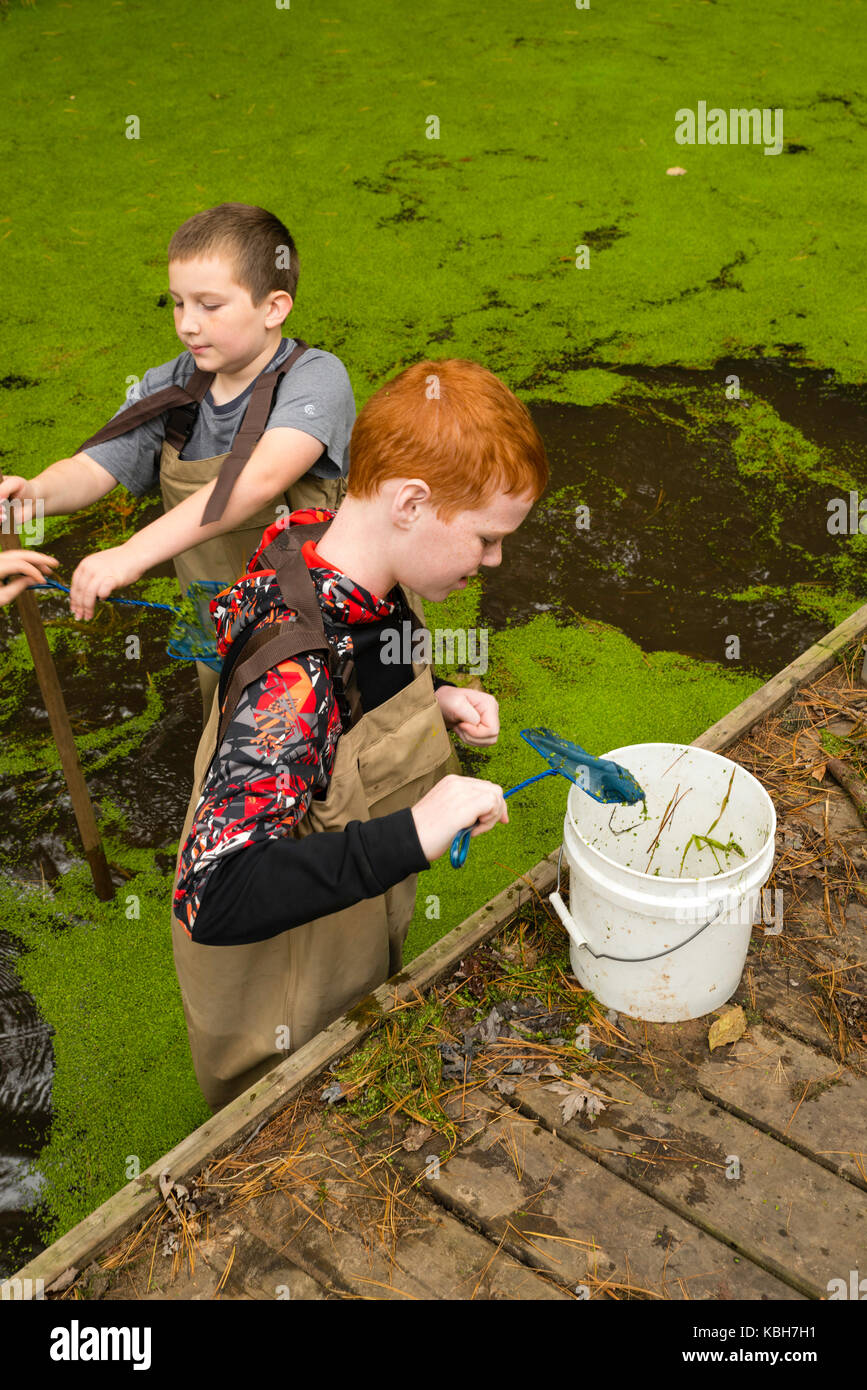 Kinder laufen im Wasser mit ihrer Lehrerin wie Sie über aquatische Biologie und andere ökologische Bildung Aktivitäten im upham Woods outdoor Lear lernen Stockfoto