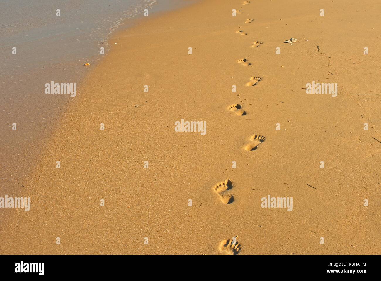 Fußabdrücke auf einem Sandstrand Stockfoto