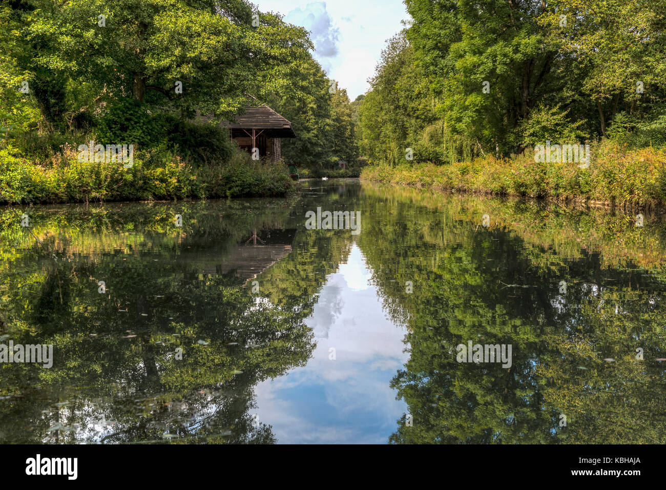 Cromford Kanal im Sommer Stockfoto