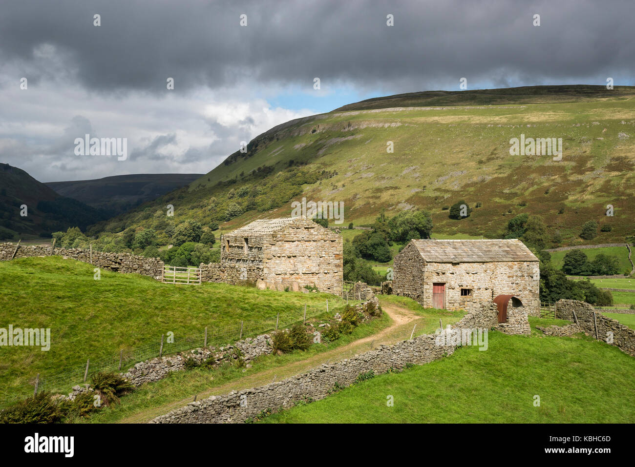 Die schöne Landschaft rund um Muker in Swaledale, Yorkshire Dales, England. Mit dem traditionellen Stein Scheunen oder 'Kuh Häuser ''Kuh' usses'. Stockfoto
