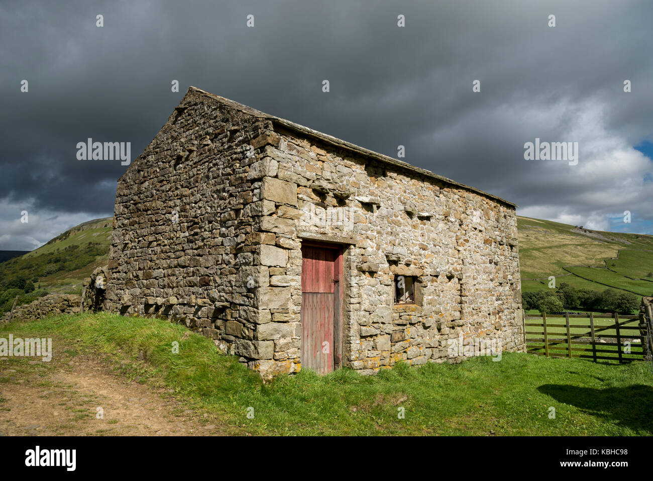 Die schöne Landschaft rund um Muker in Swaledale, Yorkshire Dales, England. Mit dem traditionellen Stein Scheunen oder 'Kuh Häuser ''Kuh' usses'. Stockfoto