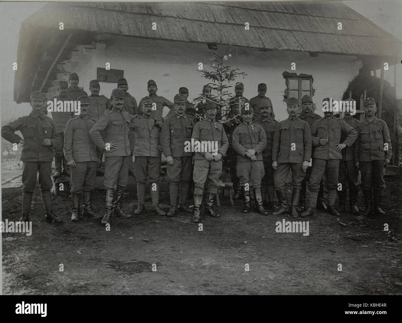 Weihnachten im Felde 1916. Stabskomnagnie der 12. J.D. in neagră Sarulin. (BildID) 15452099 Stockfoto