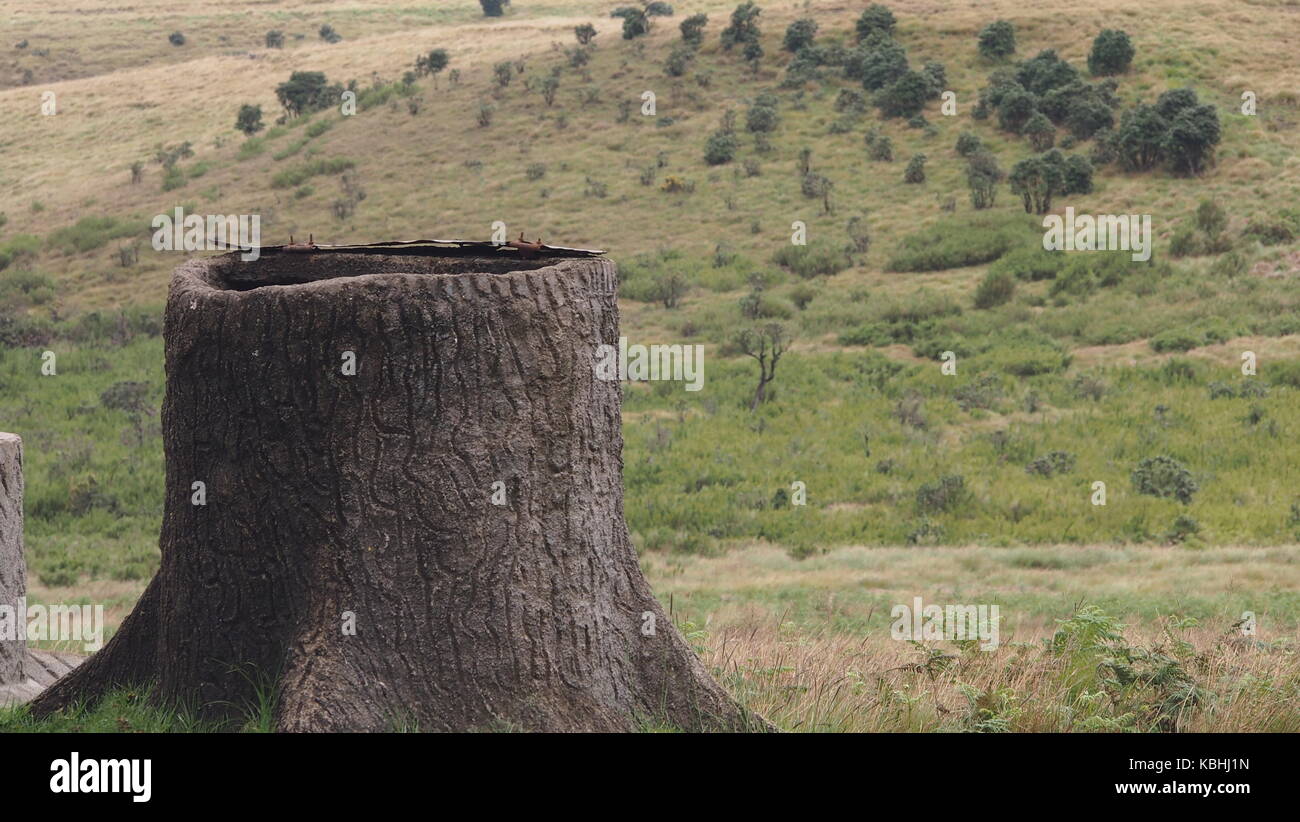 Die Landschaft rund um die Horton Place, nuwareliya, Sri Lanka, Asien Stockfoto