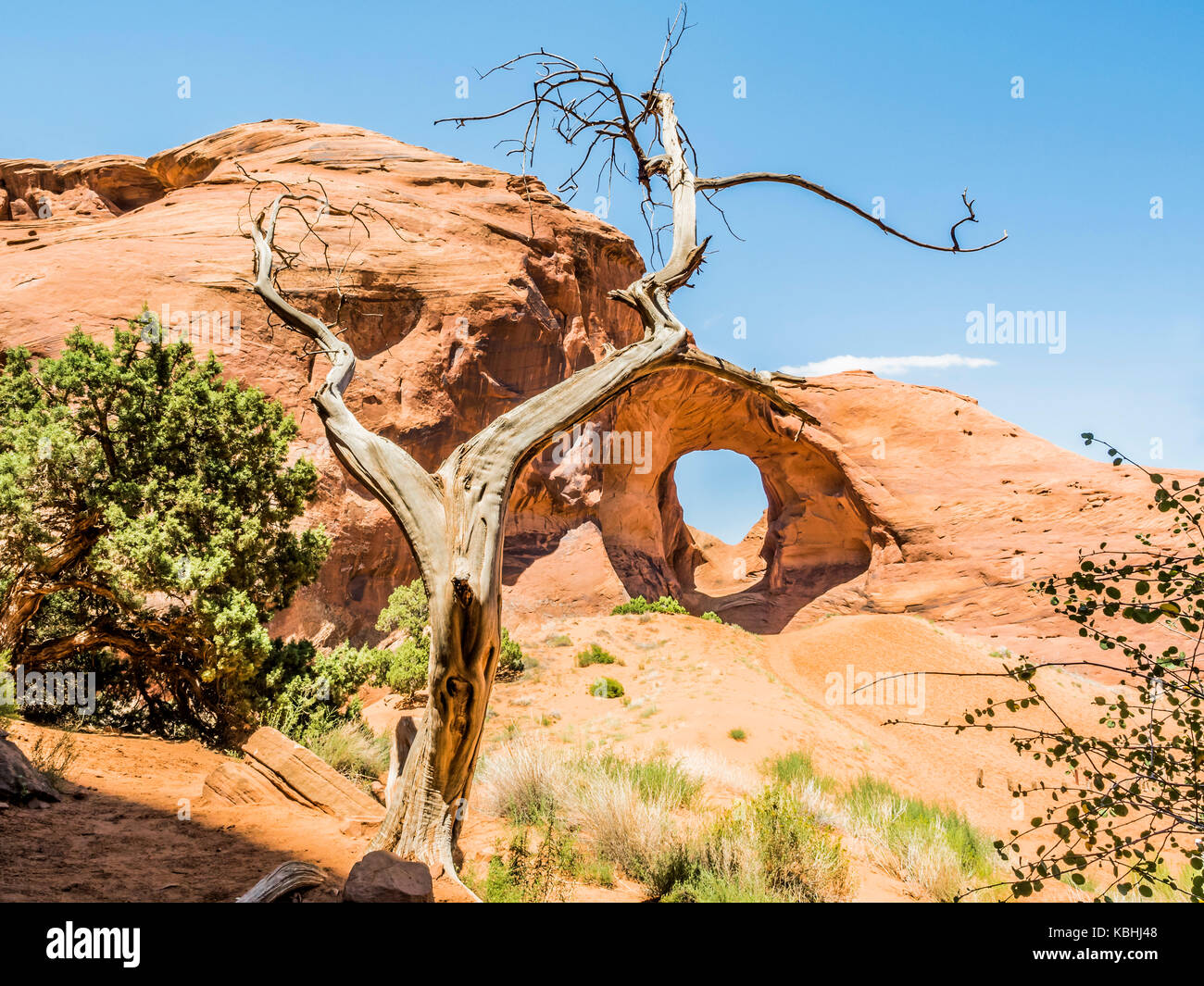 Ohr der Wind, eingeschränkten Bereich, Monument Valley - Arizona, AZ, USA Stockfoto