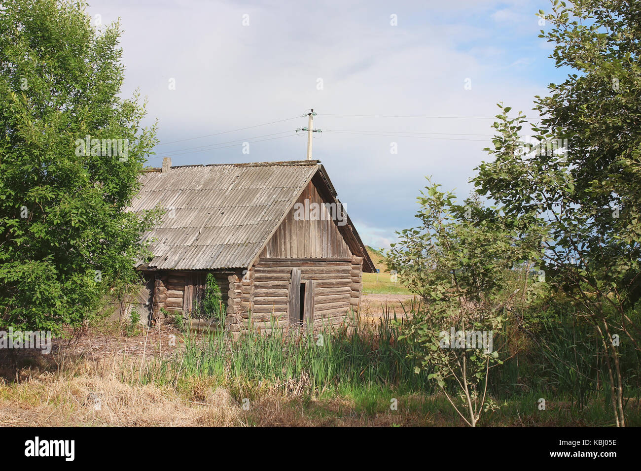 Haus in einem Feld mit Schilf Stockfoto