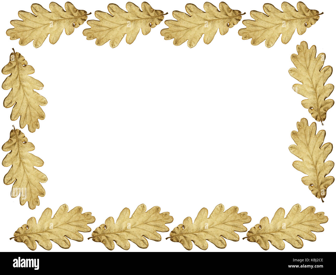 Rahmen der vergoldeten Eichenlaub mit weißen Raum kopieren Stockfoto