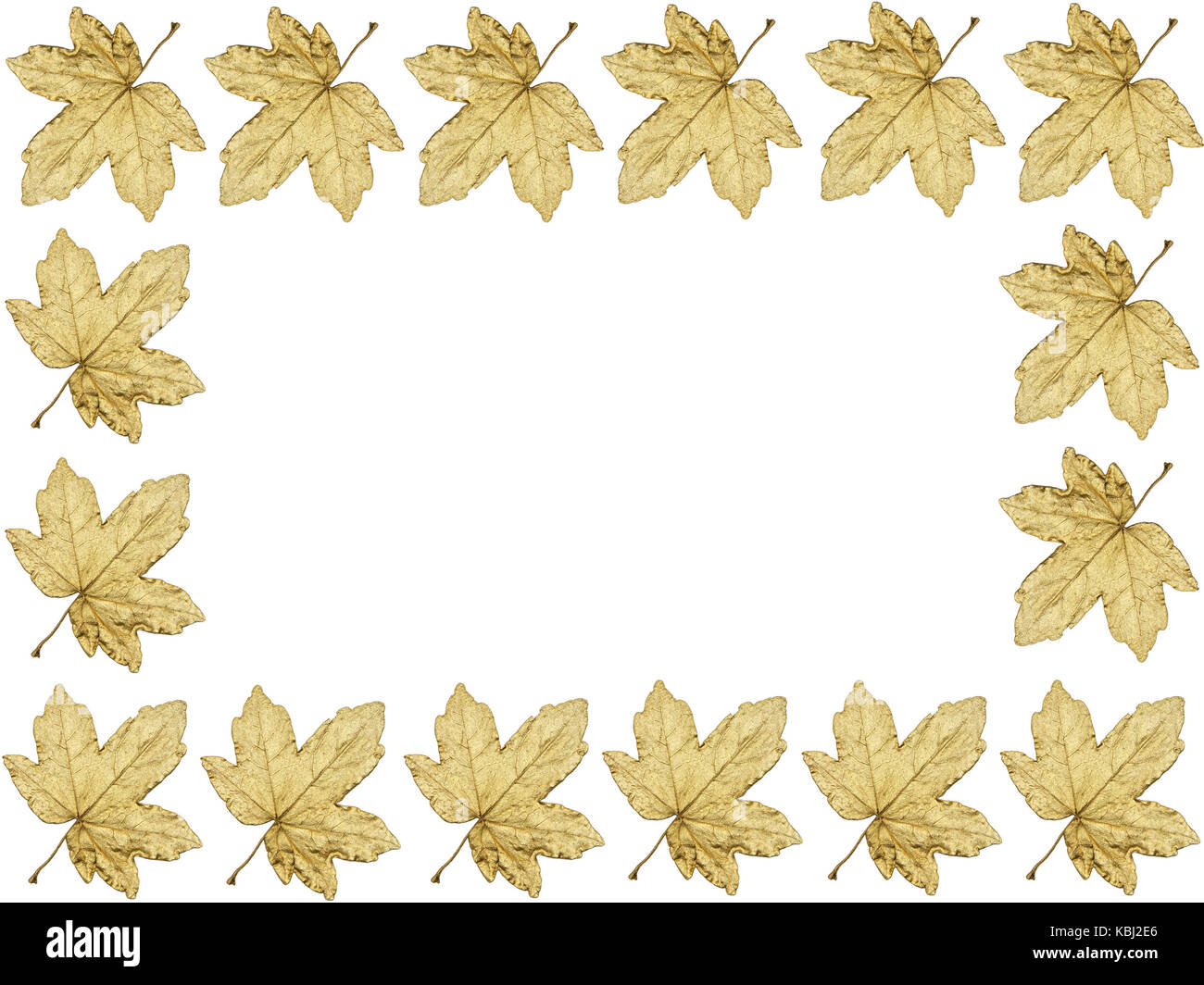 Rahmen der goldene Ahorn Blätter mit weißer Platz kopieren Stockfoto