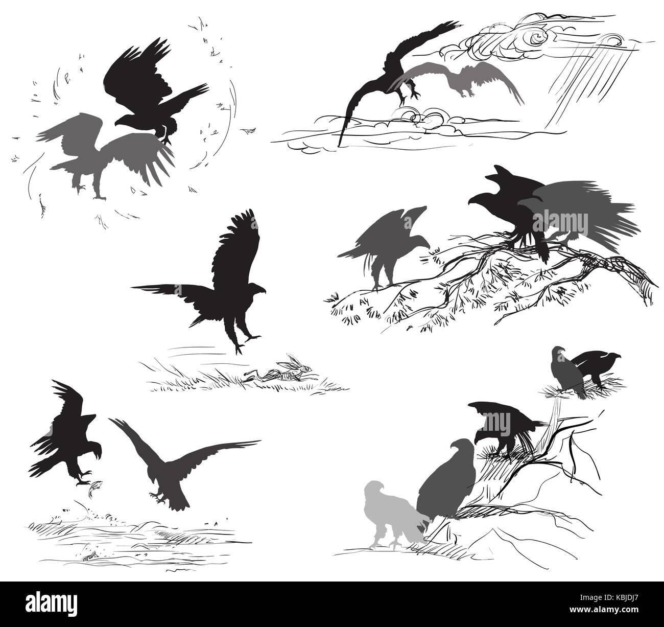 Der Vektor ausschneiden Szenen von eagle Silhouetten in schwarzer Farbe auf weißem Hintergrund. Beziehung der Adler Stock Vektor