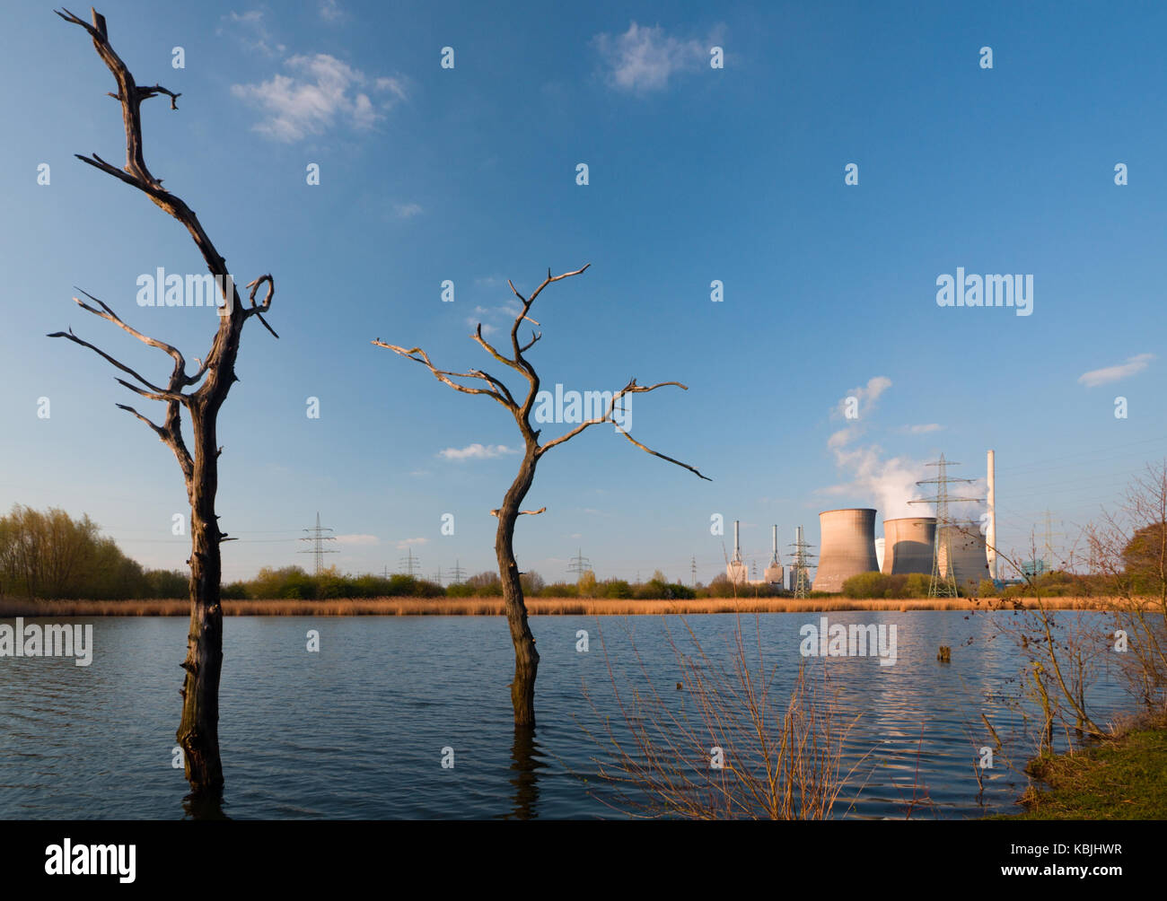 Zwei tote Bäume vor einem riesigen Kohlekraftwerk. Stockfoto