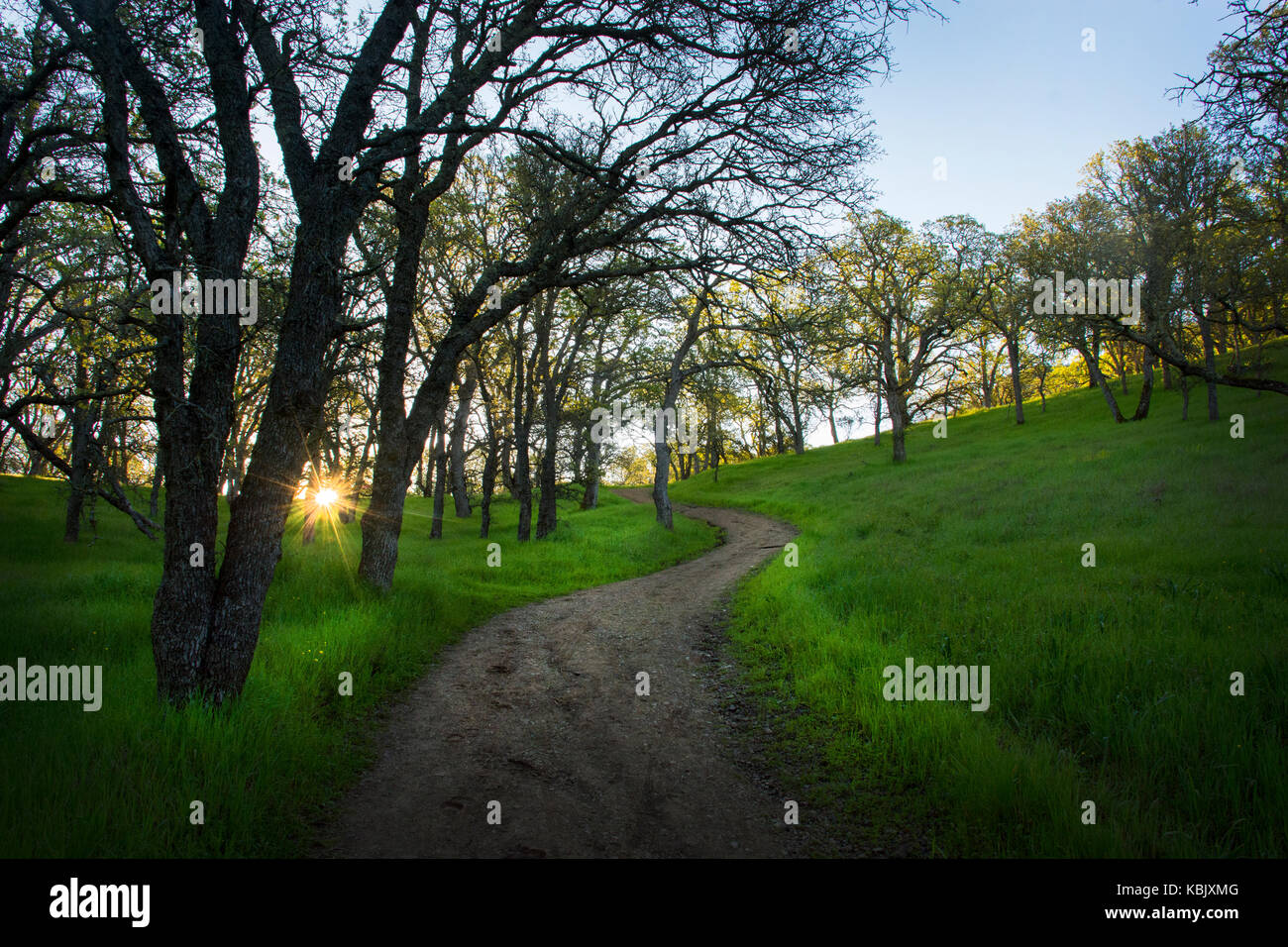 Mount Diablo State Park, Kalifornien Stockfoto