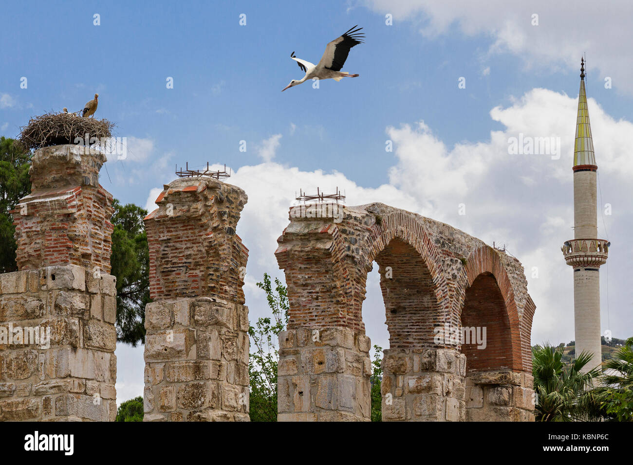 Römische Aquädukt und Störche in Selcuk, Izmir, Türkei. Stockfoto