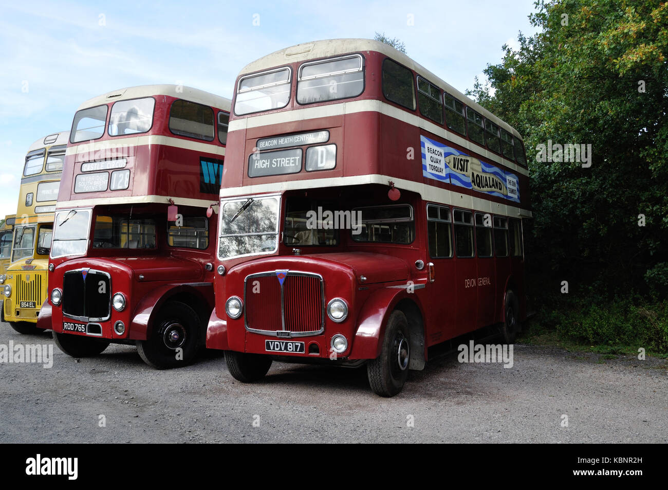 Zwei erhaltenen Devon Allgemeine AEC Regents, ROD 765 und VDV 817, im Westen von England Transport Sammlung Tag der Offenen Tür am 6. Oktober 2013 zu sehen sind. Stockfoto