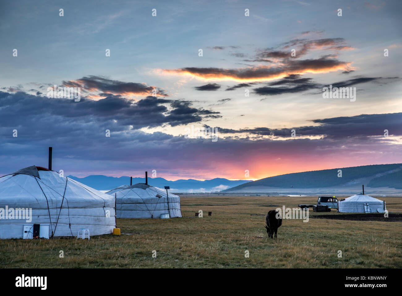 Mongolische Familie gers in eine Landschaft der nördlichen Mongolei Stockfoto