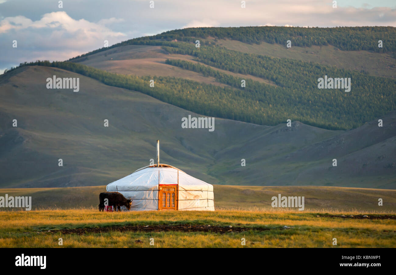 Mongolische Familie gers in eine Landschaft der nördlichen Mongolei Stockfoto