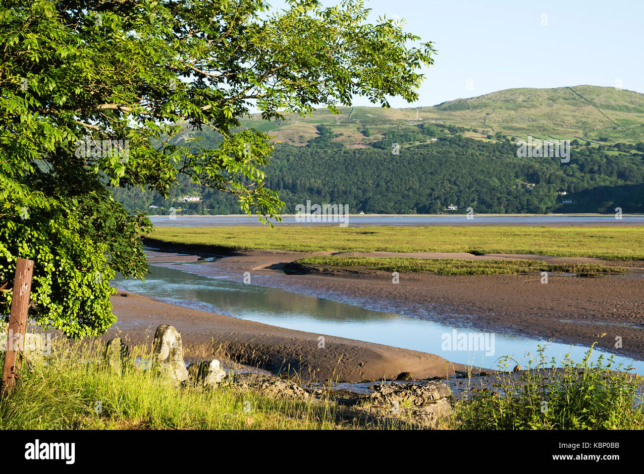 Morgenlicht über der Mawddach-Mündung in der Nähe von Dolgellau, Snowdonia National Park, Wales, Großbritannien Stockfoto