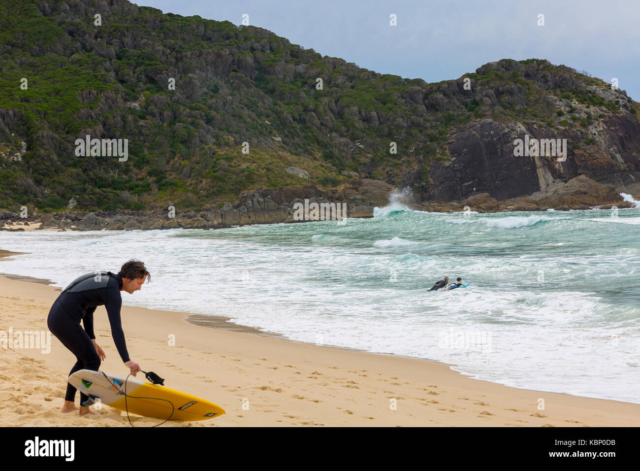 Mann mit seinem Surfbrett auf Boomerang Strand gehen für den frühen Morgen surfen, Mid North Coast, New South Wales, Australien Stockfoto