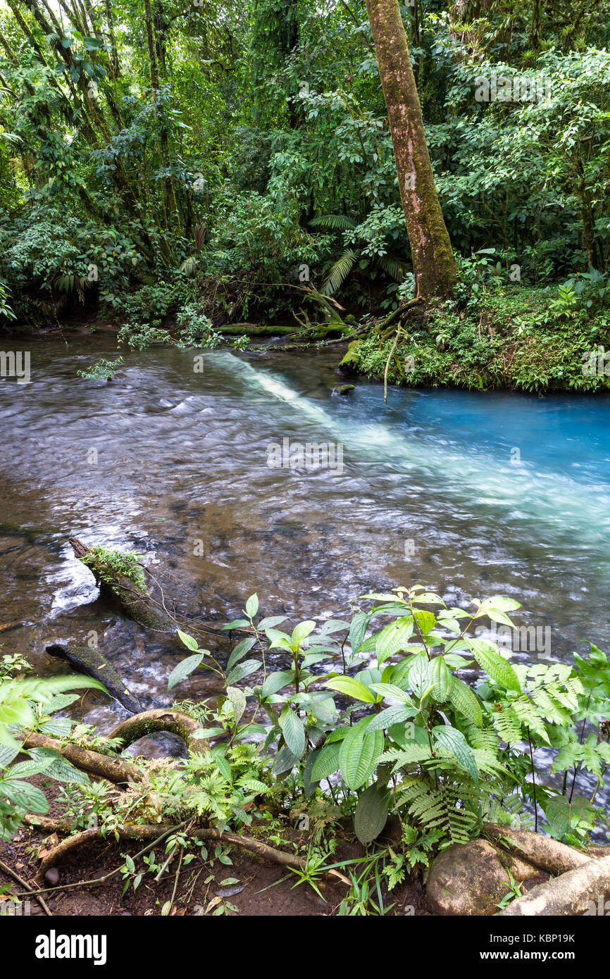 Der Beginn der Rio Celeste oder Türkis Fluss ist, wo zwei andere Flüsse und wegen eines natürlichen chemischen Reaktion (Mie-streuung) die Turquoi Stockfoto
