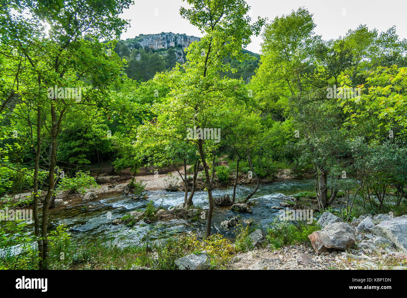 Gorges du Caramy Tourves Provence Verte Var Frankreich 83 Stockfoto