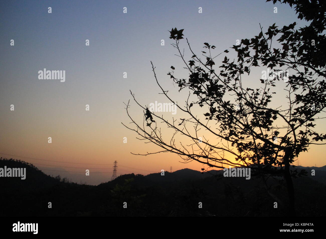 Sonnenuntergang und den Baum Schatten Stockfoto