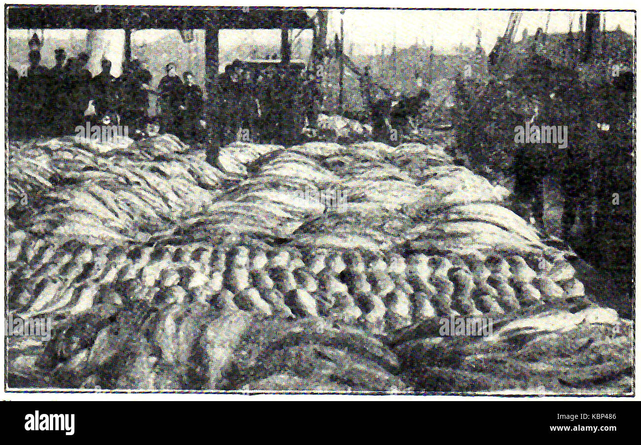 1914 - ein Jahrgang Foto von Grimsby Fischmarkt Stockfoto