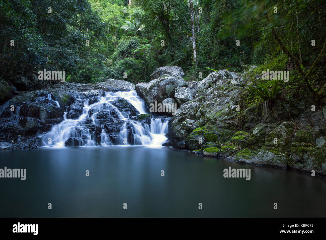 Lamington Nationalpark, Queensland, Australien Stockfoto