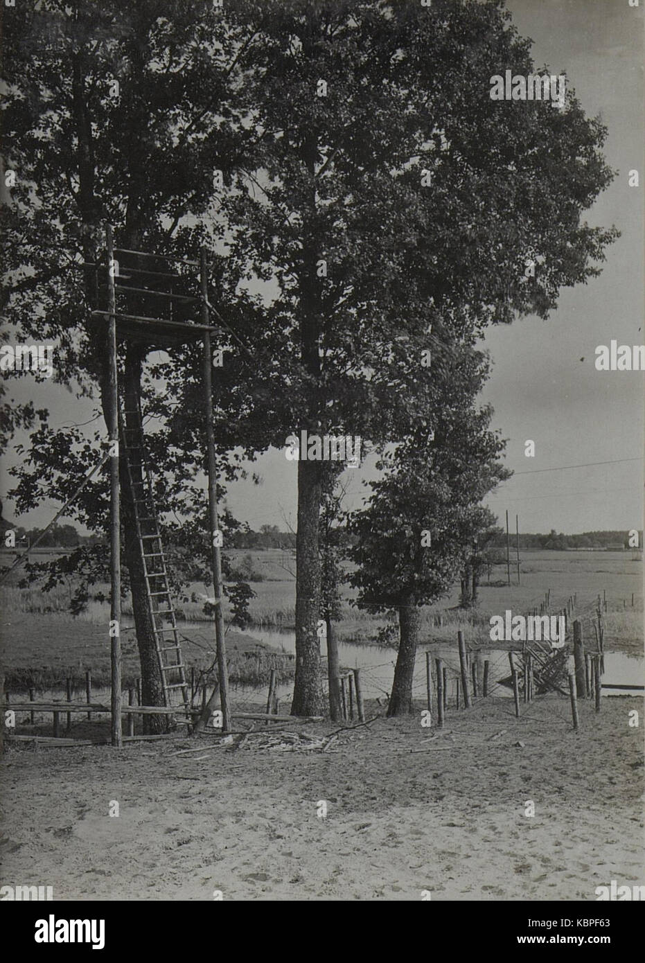 Eine historische Fotografie, die den Hochstand in der Schwarmlinie, Teil der 25. Infanteriedivision während des Ersten Weltkriegs, darstellt und eine militärische Position an der Front hervorhebt. Stockfoto