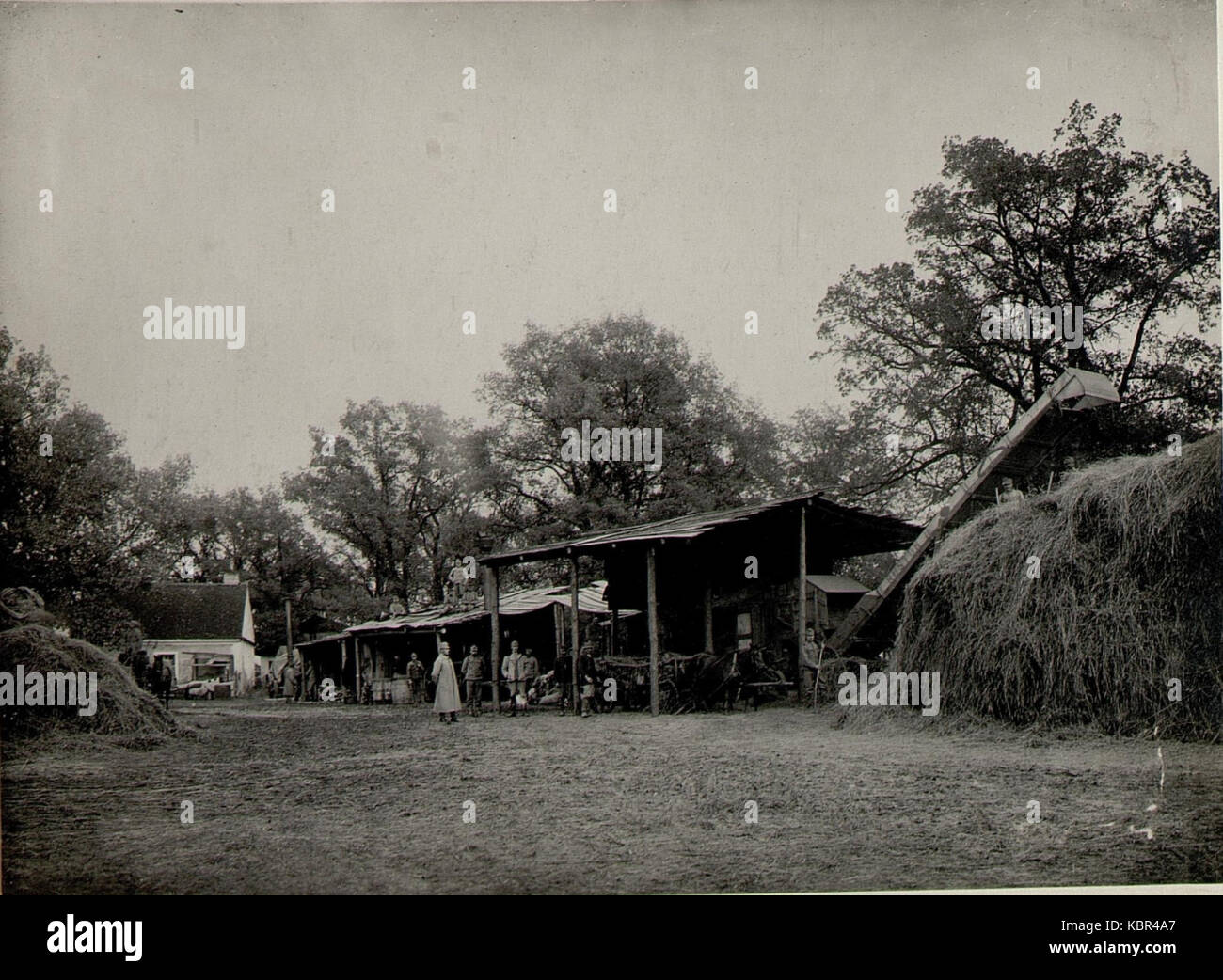 Durch getreidedrusch Stabstruppen des 9. Korpskmdos. in Wolhynien, Ostrozec 14.X.1915., (BildID) 15540503 Stockfoto