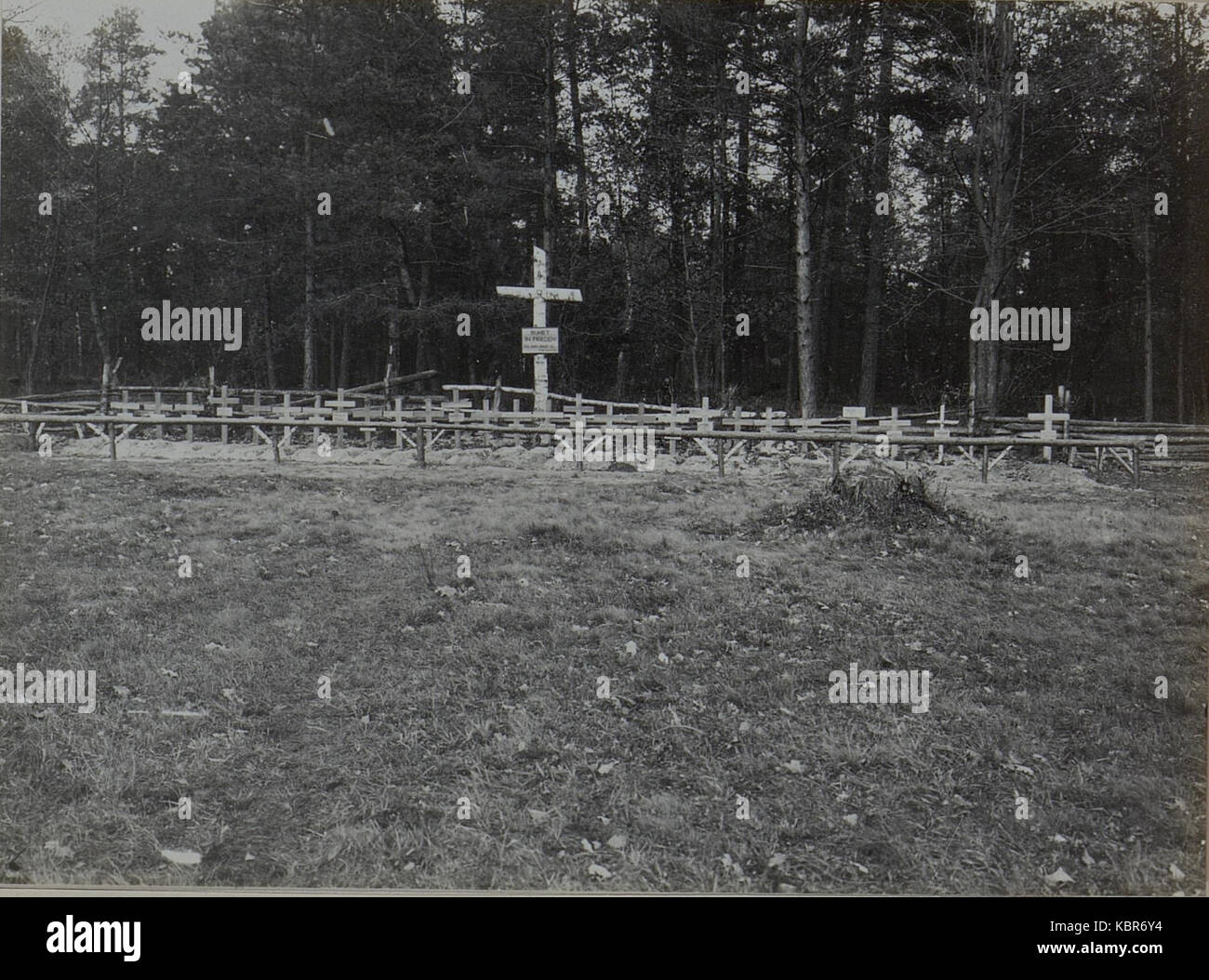 Friedhof des Landwehrinfanterieregimentes Nummer 21 in Bolarka, aufgenommen am 21.X.1915 (BildID) 15455723 Stockfoto