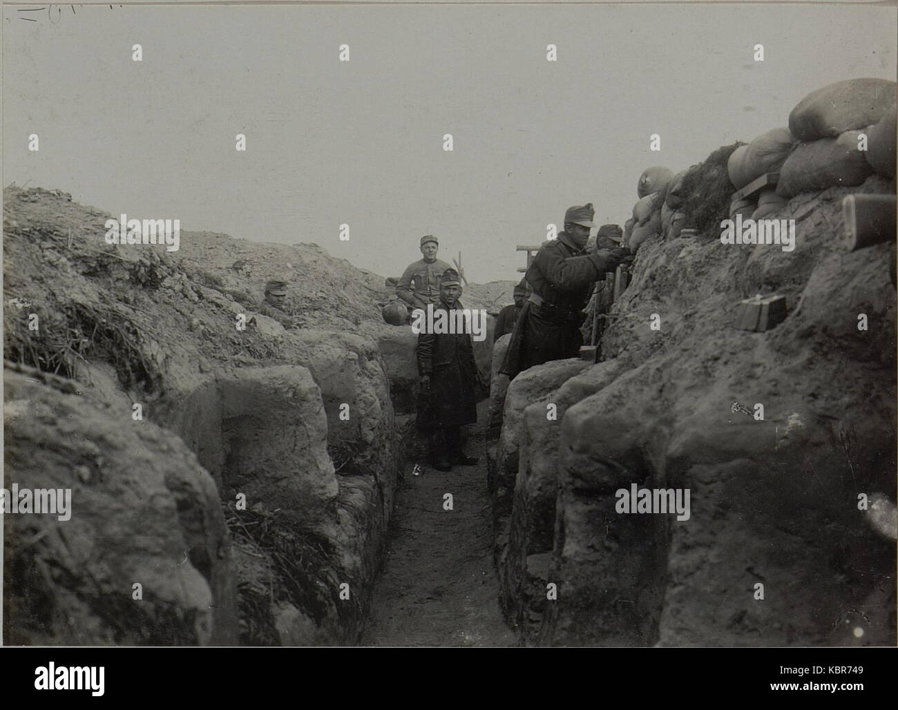 Das Infanterieregiment 59, das am 21. Oktober 1915 in der Nähe von Putilowka stationiert war, war Teil des 8. Korps während des Ersten Weltkriegs. Das Bild zeigt das Regiment in Position während eines Schlüsselmoments des Konflikts und spiegelt die militärischen Strategien und Bedingungen der damaligen Zeit wider. Stockfoto