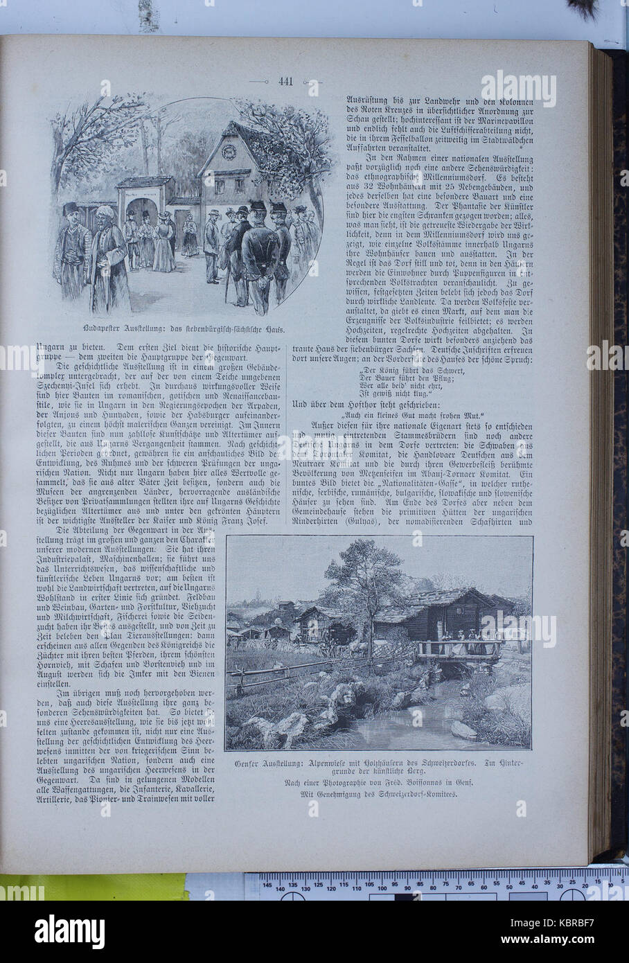 Diese Seite aus der Ausgabe 1896 der beliebten deutschen Illustrationszeitschrift „die Gartenlaube“ zeigt eine Mischung aus redaktionellen und kulturellen Inhalten und gibt Einblicke in das soziale und politische Klima des späten 19. Jahrhunderts. Stockfoto