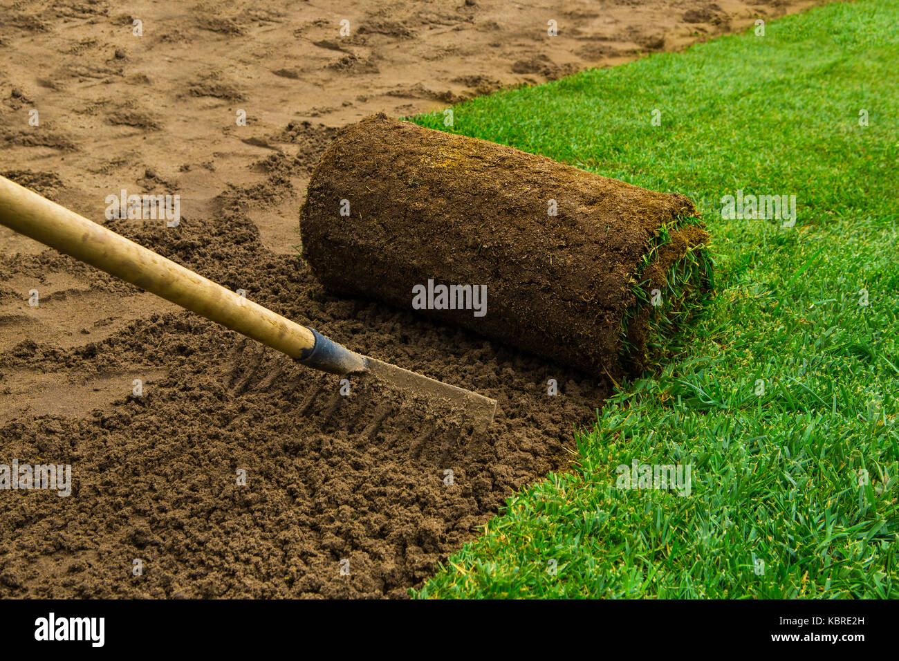 Gärtner Anwendung Rollrasen im Hinterhof Stockfoto