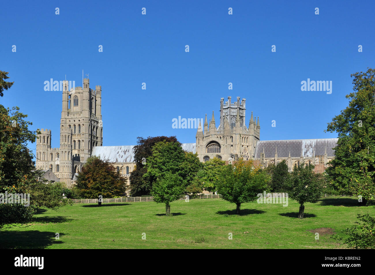 Die Kathedrale von Ely (vom Park aus gesehen), Cambridgeshire, England, Großbritannien Stockfoto